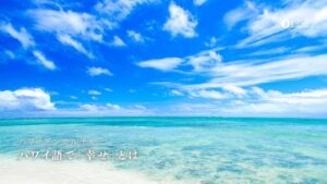 ハワイ語で「幸せ」を表す言葉はHau'oli(ハウオリ)