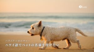 ハワイ語でペットの名前を付けたい！意味など実例付きで紹介