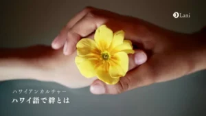 ハワイ語で「絆」とは？心に刻みたい素敵な単語・フレーズ・ことわざを徹底解説