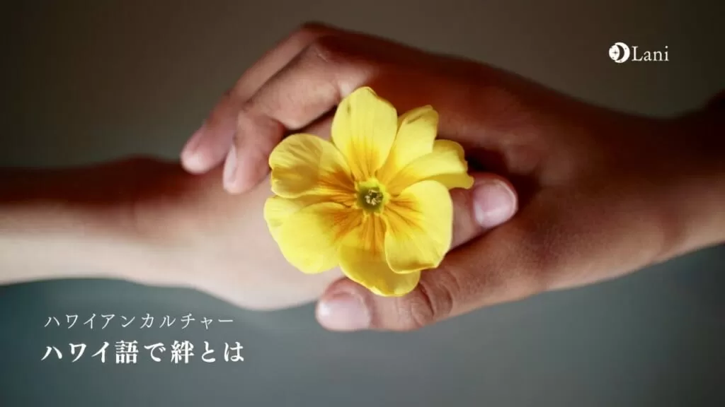 ハワイ語で「絆」とは？心に刻みたい素敵な単語・フレーズ・ことわざを徹底解説