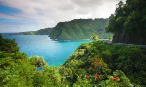 Waikaloa(ワイカロア)の歌詞の意味は？和訳・解説！