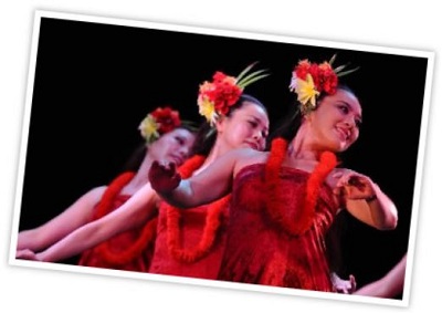 出典:<a href="http://www.napua.jp/aboutus/" target="_blank" rel="nofollow noopener noreferrer">napua.jp</a>