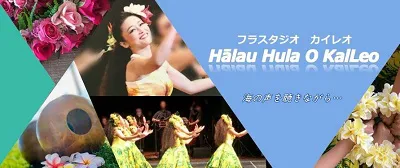 フラスタジオカイレオ