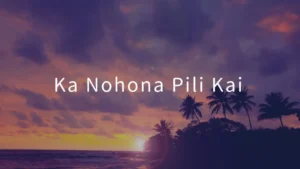 【フラの先生監修】Ka Nohona Pili Kai(カノホナピリカイ)の歌詞と意味｜郷愁を誘う名曲を解説
